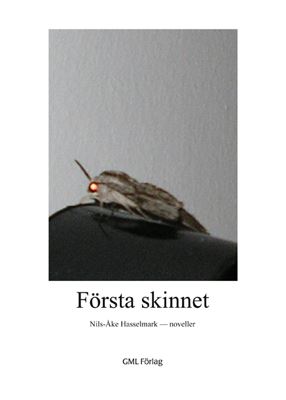 Första skinnet