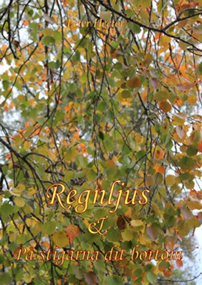 Regnljus